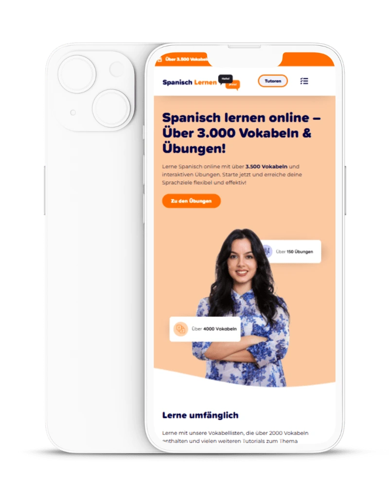 wordpress-agentur-in-aurich-prozess-2
